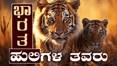 ಹುಲಿ ಸಾಗಿದ ದಾರಿ…
